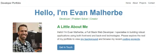 Developer Portfolio image